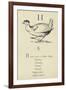 The Letter H-Edward Lear-Framed Giclee Print