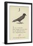 The Letter J-Edward Lear-Framed Giclee Print