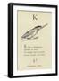The Letter K-Edward Lear-Framed Giclee Print