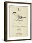 The Letter L-Edward Lear-Framed Giclee Print