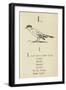 The Letter L-Edward Lear-Framed Giclee Print