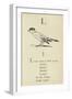 The Letter L-Edward Lear-Framed Giclee Print