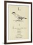 The Letter L-Edward Lear-Framed Giclee Print