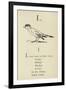 The Letter L-Edward Lear-Framed Giclee Print