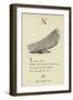 The Letter N-Edward Lear-Framed Giclee Print