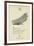 The Letter N-Edward Lear-Framed Giclee Print