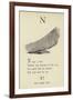 The Letter N-Edward Lear-Framed Giclee Print