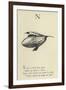 The Letter N-Edward Lear-Framed Giclee Print