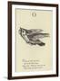 The Letter O-Edward Lear-Framed Giclee Print