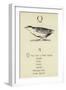 The Letter Q-Edward Lear-Framed Giclee Print
