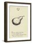 The Letter Q-Edward Lear-Framed Giclee Print