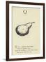 The Letter Q-Edward Lear-Framed Giclee Print