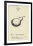 The Letter Q-Edward Lear-Framed Giclee Print