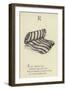 The Letter R-Edward Lear-Framed Giclee Print