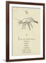 The Letter S-Edward Lear-Framed Giclee Print