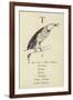 The Letter T-Edward Lear-Framed Giclee Print