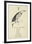 The Letter T-Edward Lear-Framed Giclee Print