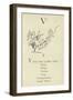 The Letter V-Edward Lear-Framed Giclee Print