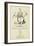 The Letter X-Edward Lear-Framed Giclee Print