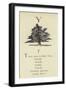 The Letter Y-Edward Lear-Framed Giclee Print