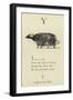 The Letter Y-Edward Lear-Framed Giclee Print