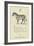 The Letter Z-Edward Lear-Framed Giclee Print
