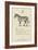 The Letter Z-Edward Lear-Framed Giclee Print