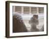 The Liberation Hall Is Commemorating the 34 Victories Against Napoleon. Germany, Bavaria-Martin Zwick-Framed Photographic Print