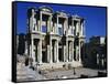 The Library of Celsus-null-Framed Stretched Canvas