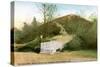 The Lickey Hills, 20th Century-null-Stretched Canvas
