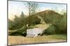 The Lickey Hills, 20th Century-null-Mounted Giclee Print