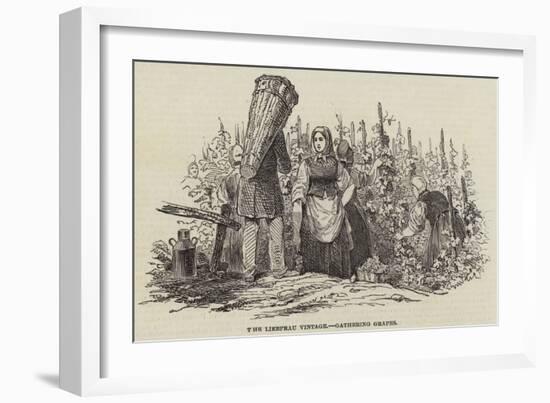 The Liebfrau Vintage, Gathering Grapes-null-Framed Giclee Print