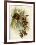 The Life & Adventures of Robinson Crusoe-Joseph Finnemore-Framed Giclee Print