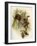 The Life & Adventures of Robinson Crusoe-Joseph Finnemore-Framed Giclee Print