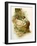 The Life & Adventures of Robinson Crusoe-Joseph Finnemore-Framed Giclee Print