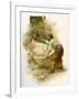 The Life & Adventures of Robinson Crusoe-Joseph Finnemore-Framed Giclee Print