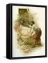 The Life & Adventures of Robinson Crusoe-Joseph Finnemore-Framed Stretched Canvas