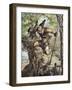 The Life and Adventures of Robinson Crusoe by Defoe-null-Framed Giclee Print