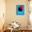 The Life Aquatic-David Brodsky-Framed Stretched Canvas displayed on a wall