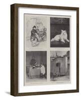 The Life of Victoria-Amedee Forestier-Framed Giclee Print