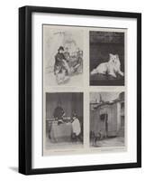 The Life of Victoria-Amedee Forestier-Framed Giclee Print