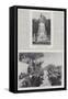 The Life of William Ewart Gladstone-null-Framed Stretched Canvas