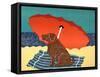The Lifeguard Chocolate-Stephen Huneck-Framed Stretched Canvas
