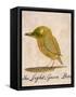 The Light Green Bird, from Sixteen Drawings of Comic Birds-Edward Lear-Framed Stretched Canvas