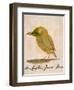 The Light Green Bird, from Sixteen Drawings of Comic Birds-Edward Lear-Framed Giclee Print