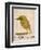 The Light Green Bird, from Sixteen Drawings of Comic Birds-Edward Lear-Framed Giclee Print