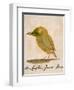 The Light Green Bird, from Sixteen Drawings of Comic Birds-Edward Lear-Framed Giclee Print