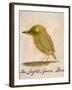 The Light Green Bird, from Sixteen Drawings of Comic Birds-Edward Lear-Framed Giclee Print