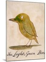 The Light Green Bird, from Sixteen Drawings of Comic Birds-Edward Lear-Mounted Giclee Print