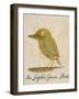 The Light Green Bird-Edward Lear-Framed Giclee Print